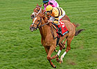 Wise Dan Gets New Season Off to Winning Start Wise Dan Gets New Season Off to Winning Start