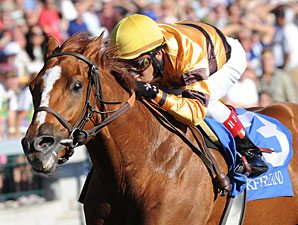 Wise Dan Seeks Second Stakes at Keeneland Wise Dan Seeks Second Stakes at Keeneland