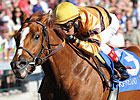 Wise Dan Seeks Second Stakes at Keeneland Wise Dan Seeks Second Stakes at Keeneland