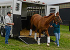 Wise Dan Returns From Rood & Riddle Wise Dan Returns From Rood & Riddle