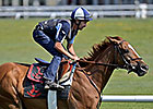 Wise Dan Works Over Oklahoma Turf Wise Dan Works Over Oklahoma Turf