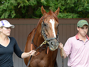 LoPresti Not Thinking About Horse of the Year LoPresti Not Thinking About Horse of the Year