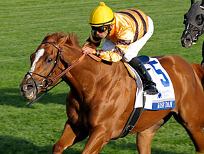 Wise Dan Rallies to Win Shadwell Turf Mile