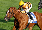 Wise Dan Rallies to Win Shadwell Turf Mile