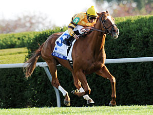 BC Mile: Wise Dan Must Run 'Race of His Life' BC Mile: Wise Dan Must Run 'Race of His Life'