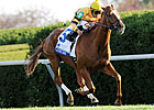BC Mile: Wise Dan Must Run 'Race of His Life'