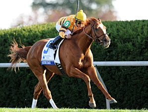 Different Paths for Wise Dan, Animal Kingdom Different Paths for Wise Dan, Animal Kingdom