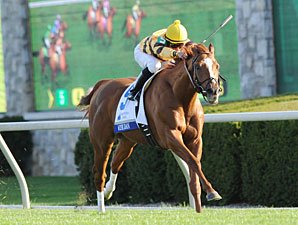 Wise Dan's Travel Plans Delayed Wise Dan's Travel Plans Delayed