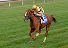 Voting Open for Secretariat Vox Populi Award Voting Open for Secretariat Vox Populi Award