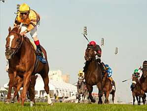 Wise Dan Brilliant Again in Woodbine Mile Win Wise Dan Brilliant Again in Woodbine Mile Win