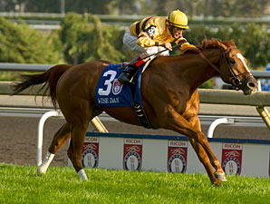 Wise Dan: Formidable on Any Surface Wise Dan: Formidable on Any Surface