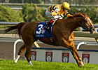 Wise Dan: Formidable on Any Surface Wise Dan: Formidable on Any Surface