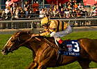 Wise Dan Comes Right Back in Shadwell Mile Wise Dan Comes Right Back in Shadwell Mile
