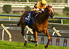 Wise Dan Runs Back in Shadwell Turf Mile