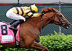 HOY Wise Dan Returns to Keeneland Tab HOY Wise Dan Returns to Keeneland Tab