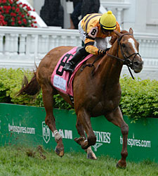 Weighty Question for Wise Dan in Firecracker Weighty Question for Wise Dan in Firecracker