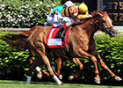 Target on Wise Dan for Bernard Baruch Return Target on Wise Dan for Bernard Baruch Return