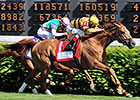 Wise Dan Undergoes Colic Surgery Wise Dan Undergoes Colic Surgery