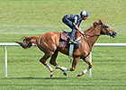 Haskin: No More 'What Ifs' With Wise Dan Haskin: No More 'What Ifs' With Wise Dan