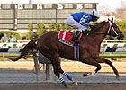 Wishful Tomcat Wire-To-Wire in Discovery Wishful Tomcat Wire-To-Wire in Discovery