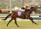 Competitive Field of 12 Entered in Monrovia Competitive Field of 12 Entered in Monrovia