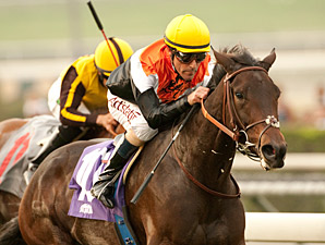 Wishing Gate Opens Up in Autumn Miss Victory Wishing Gate Opens Up in Autumn Miss Victory
