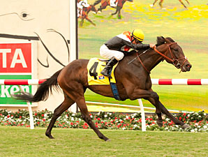 Rough Task for Wishing Gate in Del Mar Oaks Rough Task for Wishing Gate in Del Mar Oaks