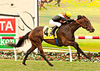 Rough Task for Wishing Gate in Del Mar Oaks Rough Task for Wishing Gate in Del Mar Oaks