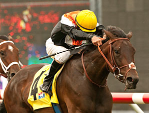 Wishing Gate Heads Full Field in Autumn Miss Wishing Gate Heads Full Field in Autumn Miss