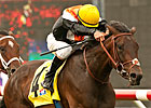 Wishing Gate Heads Full Field in Autumn Miss Wishing Gate Heads Full Field in Autumn Miss