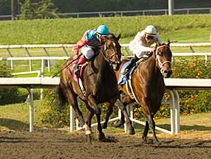 Witty Still Perfect After Game Railbird Win Witty Still Perfect After Game Railbird Win
