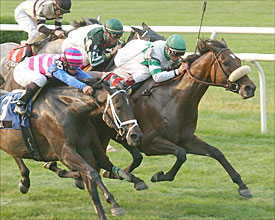 Wonder Again Drives to Noble Damsel Win Wonder Again Drives to Noble Damsel Win