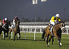 Dubai World Cup Adds Turf Stakes to Card Dubai World Cup Adds Turf Stakes to Card