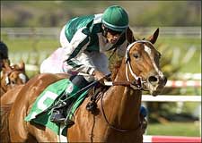 Wonderful Luck, Thoroughly Win Juvenile Stakes Wonderful Luck, Thoroughly Win Juvenile Stakes