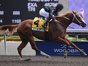 Wonderlandbynight Captures Ontario Debutante Wonderlandbynight Captures Ontario Debutante