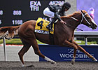 Wonderlandbynight Captures Ontario Debutante Wonderlandbynight Captures Ontario Debutante