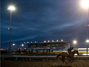 Woodbine EHV-1 Restrictions Lifted by ORC Woodbine EHV-1 Restrictions Lifted by ORC