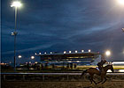 Woodbine EHV-1 Restrictions Lifted by ORC Woodbine EHV-1 Restrictions Lifted by ORC