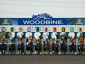 Woodbine Has Per-Card Wagering Rise in 2013 Woodbine Has Per-Card Wagering Rise in 2013