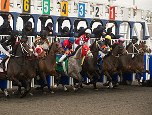 Woodbine Releases Full Stakes Schedule Woodbine Releases Full Stakes Schedule