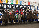 Woodbine Releases Full Stakes Schedule