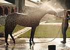 Heat Forces Tracks to Cancel Racing