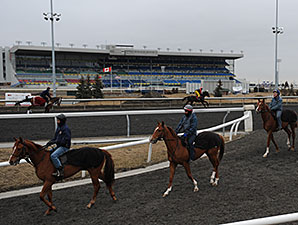 NTRA Safety Alliance Re-Accredits Woodbine NTRA Safety Alliance Re-Accredits Woodbine