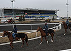 NTRA Safety Alliance Re-Accredits Woodbine NTRA Safety Alliance Re-Accredits Woodbine
