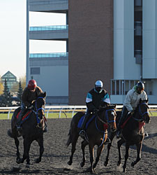 Worries Ahead as 2012 Woodbine Season Begins Worries Ahead as 2012 Woodbine Season Begins