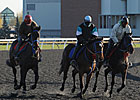 Worries Ahead as 2012 Woodbine Season Begins Worries Ahead as 2012 Woodbine Season Begins