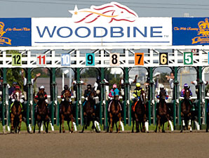 Woodbine Seeks to Cut 11 Racing Days Woodbine Seeks to Cut 11 Racing Days