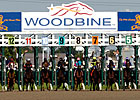 Woodbine Expects Similar Daily Purses in 2013