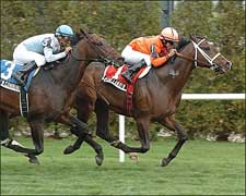 Woodlander Keeps Owners On Top in Fort Marcy Woodlander Keeps Owners On Top in Fort Marcy