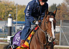 BC Turf Favorite Workforce Scratched BC Turf Favorite Workforce Scratched